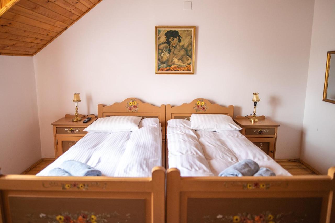 Pensiunea Sachsenhof Bagaciu Экстерьер фото