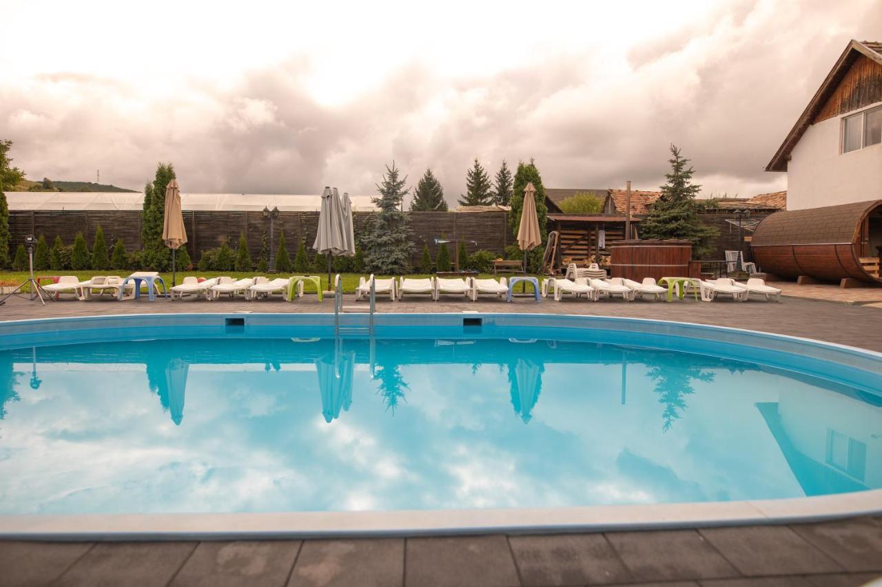 Pensiunea Sachsenhof Bagaciu Экстерьер фото