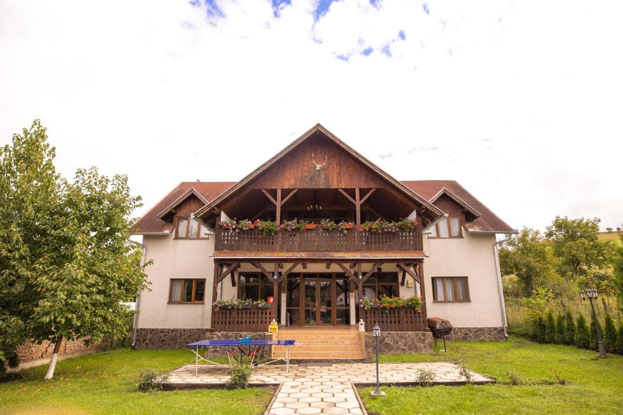 Pensiunea Sachsenhof Bagaciu Экстерьер фото