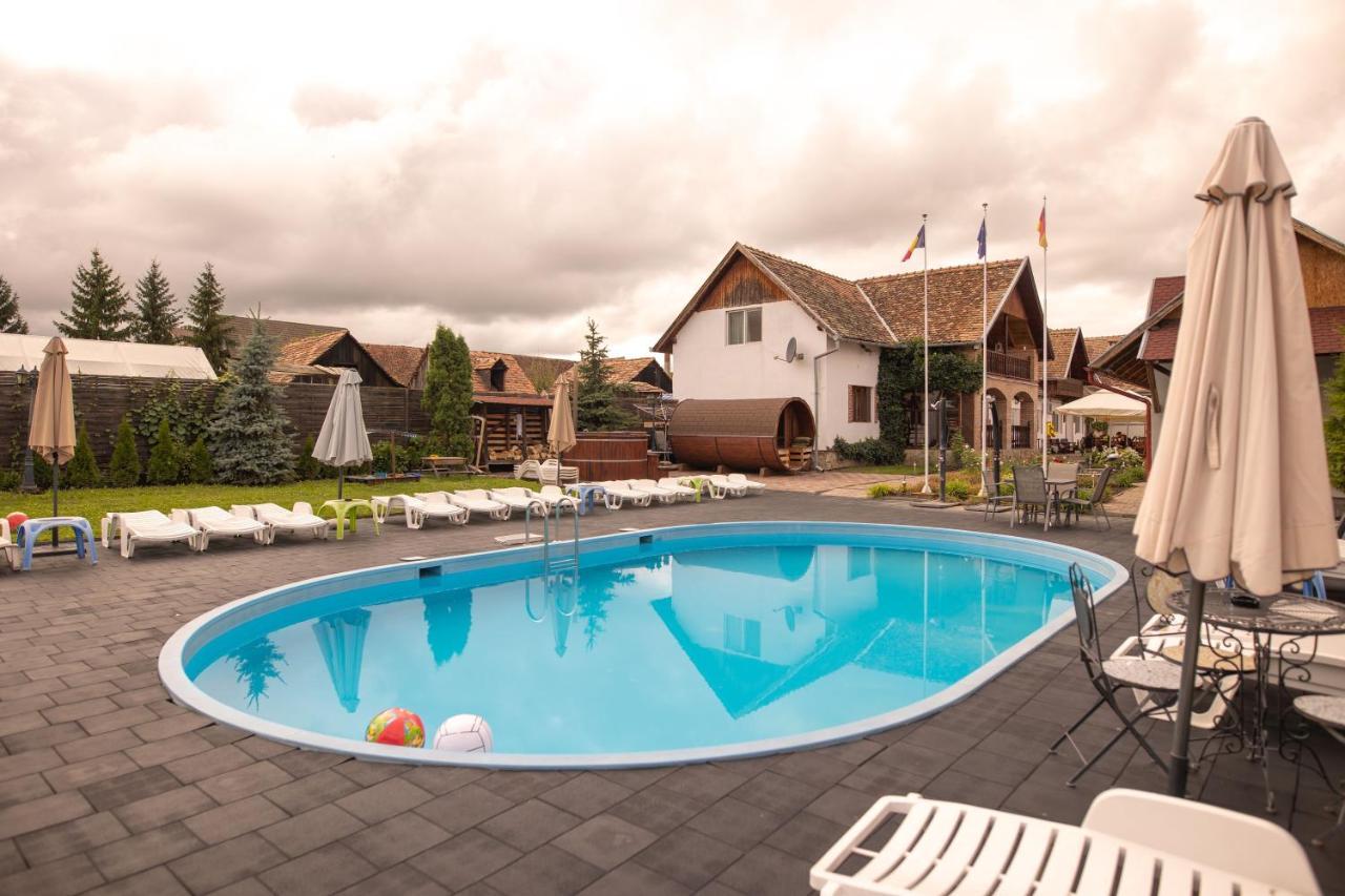 Pensiunea Sachsenhof Bagaciu Экстерьер фото