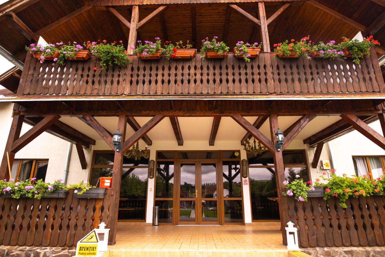 Pensiunea Sachsenhof Bagaciu Экстерьер фото